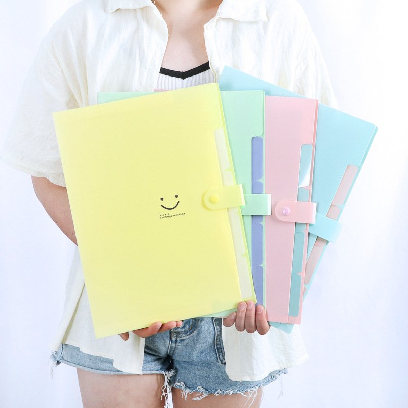Document Organizer Folder - Organiseur de dossiers extensible A4 coréen
