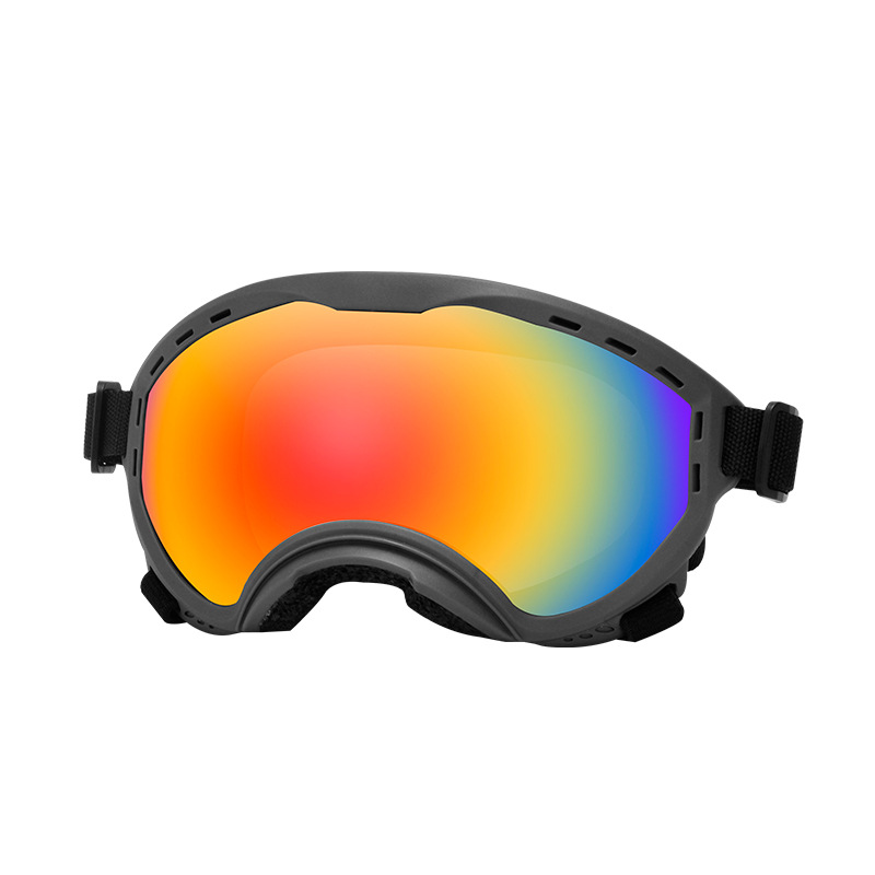 Lunettes de protection pour an - Travel Accessories Ideas avis et prix